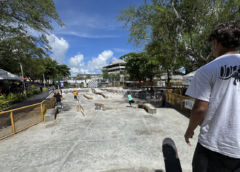 Skatistas competindo na Praça 1º de Maio durante o Circuito Baiano de Skateboard Street 2026 em Camaçari