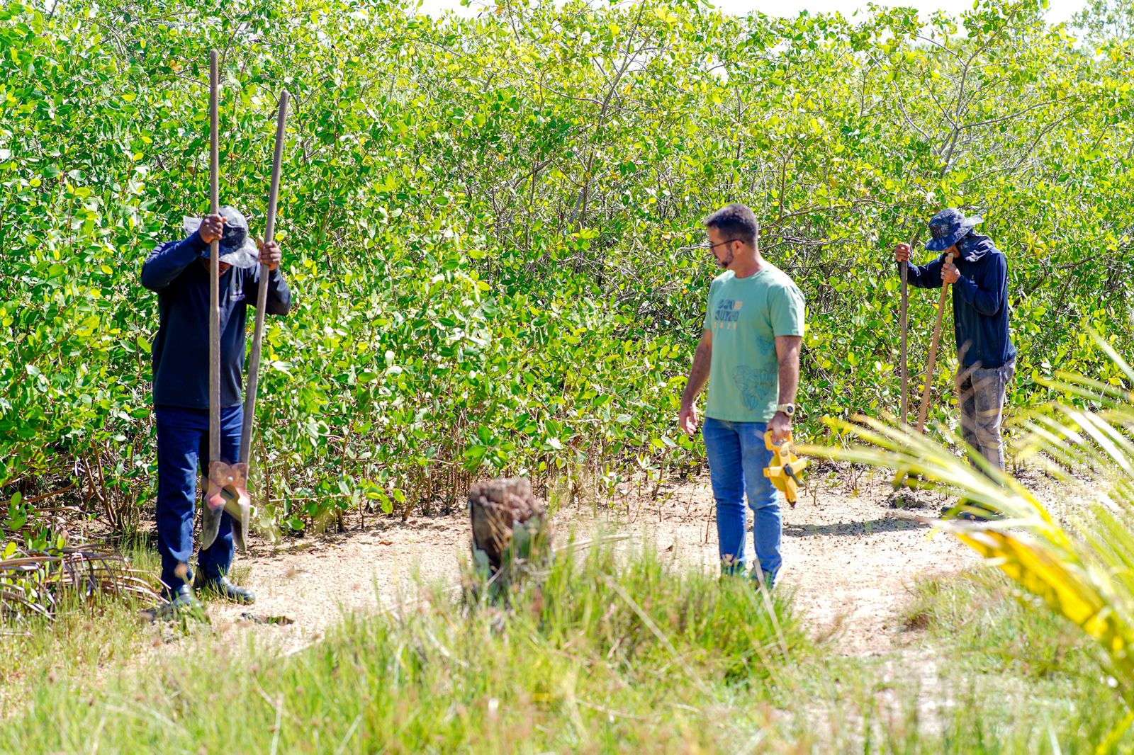 Trabalhadores atuam em ação de recuperação ambiental no manguezal de Barra do Jacuípe, em Camaçari.
