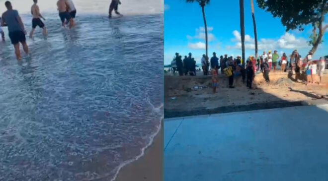Jovem de 19 anos é atacada por tubarão na praia de Boa Viagem no Recife